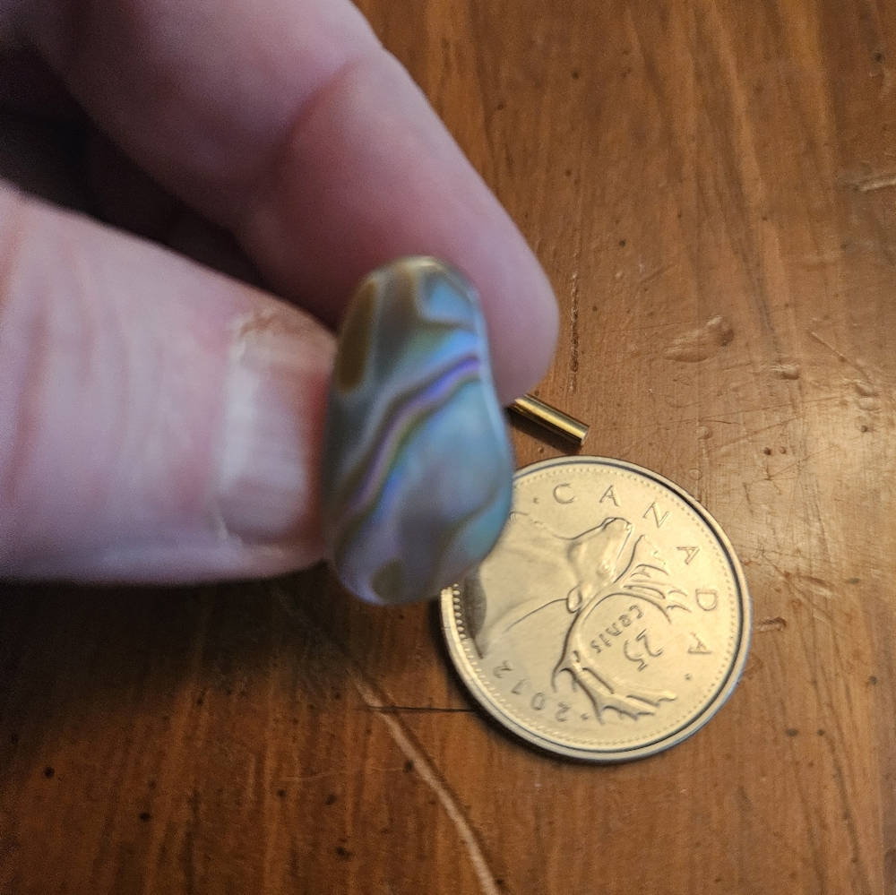 Vintage Multicolor Shell Tie Tack